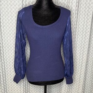 Blue Knit Top with Sheer Sleeves